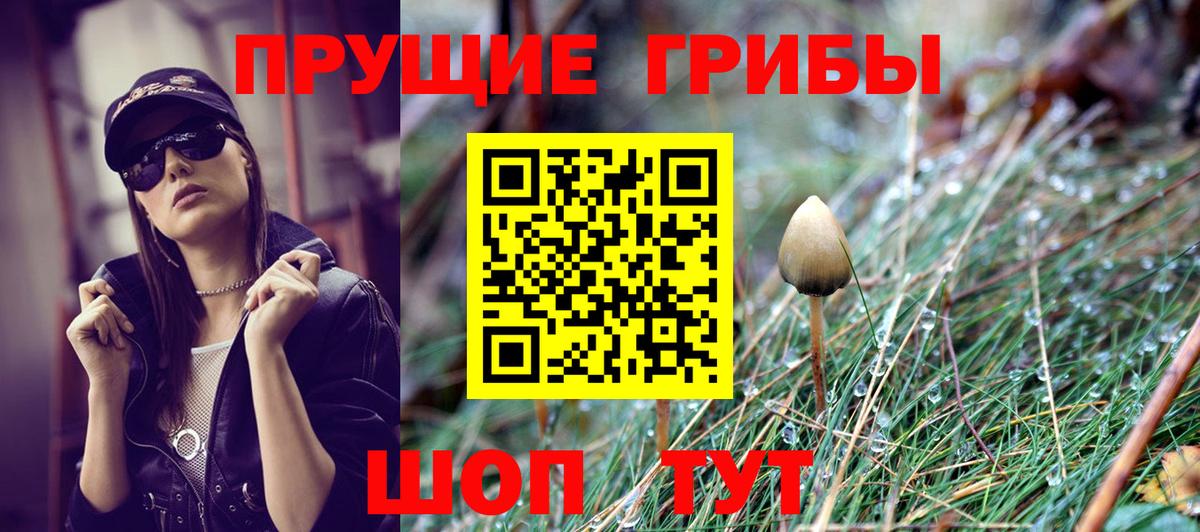Ялуторовск  Псилоцибиновые грибы Cubensis  Вход с VPN 